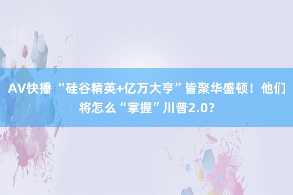 AV快播 “硅谷精英+亿万大亨”皆聚华盛顿！他们将怎么“掌握”川普2.0？