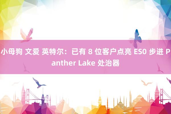 小母狗 文爱 英特尔：已有 8 位客户点亮 ES0 步进 Panther Lake 处治器