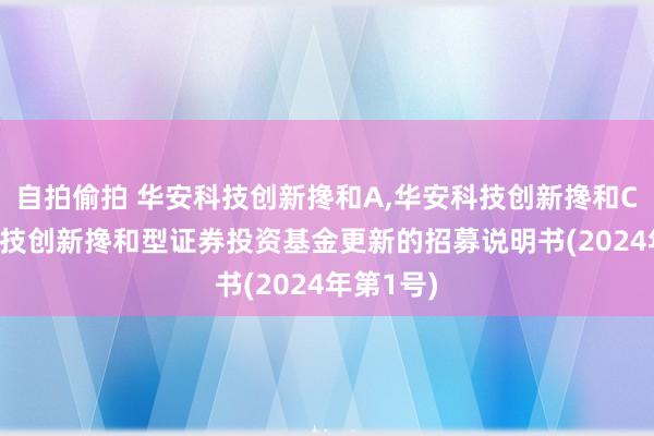 自拍偷拍 华安科技创新搀和A，华安科技创新搀和C: 华安科技创新搀和型证券投资基金更新的招募说明书(2024年第1号)