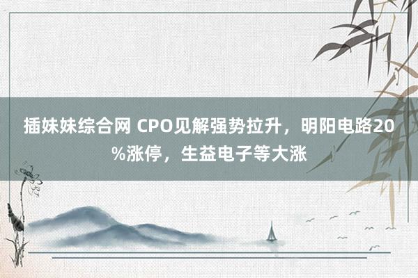 插妹妹综合网 CPO见解强势拉升，明阳电路20%涨停，生益电子等大涨