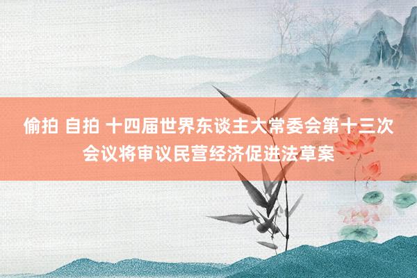 偷拍 自拍 十四届世界东谈主大常委会第十三次会议将审议民营经济促进法草案