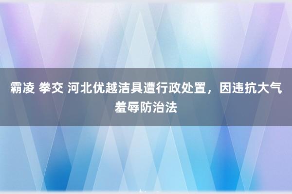 霸凌 拳交 河北优越洁具遭行政处置，因违抗大气羞辱防治法