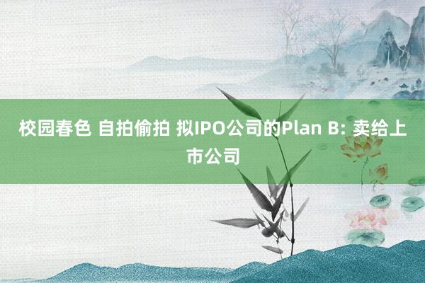 校园春色 自拍偷拍 拟IPO公司的Plan B: 卖给上市公司