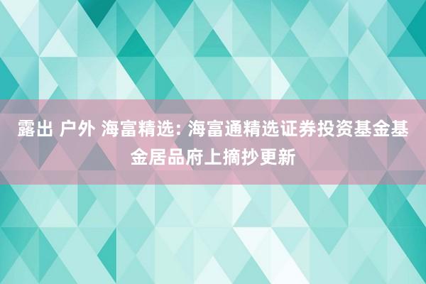 露出 户外 海富精选: 海富通精选证券投资基金基金居品府上摘抄更新