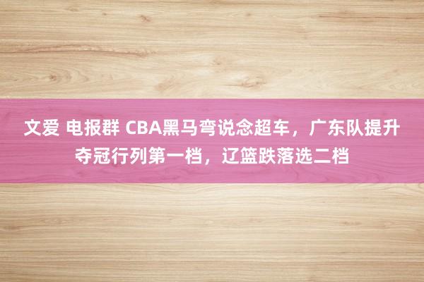 文爱 电报群 CBA黑马弯说念超车，广东队提升夺冠行列第一档，辽篮跌落选二档