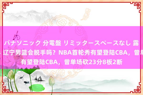 パナソニック 分電盤 リミッタースペースなし 露出・半埋込両用形 辽宁男篮会脱手吗？NBA首轮秀有望登陆CBA，曾单场砍23分8板2断