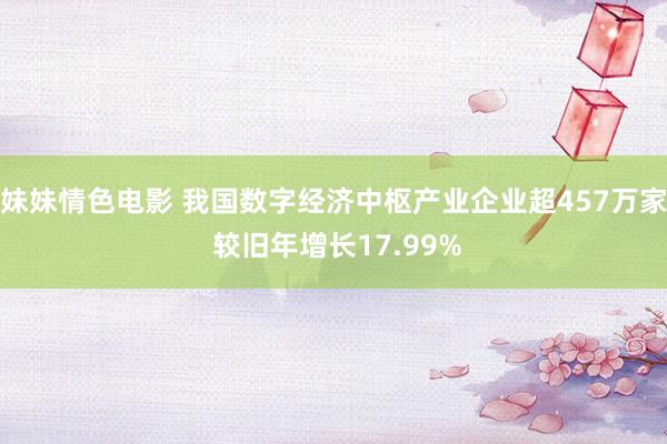 妹妹情色电影 我国数字经济中枢产业企业超457万家 较旧年增长17.99%