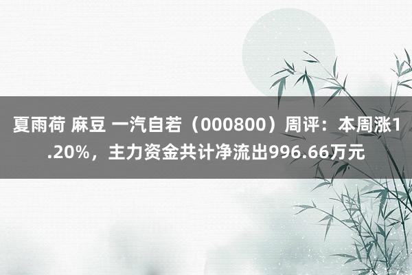 夏雨荷 麻豆 一汽自若（000800）周评：本周涨1.20%，主力资金共计净流出996.66万元