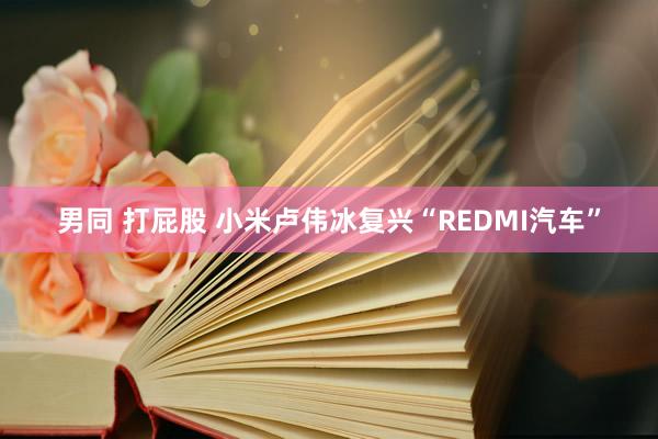 男同 打屁股 小米卢伟冰复兴“REDMI汽车”