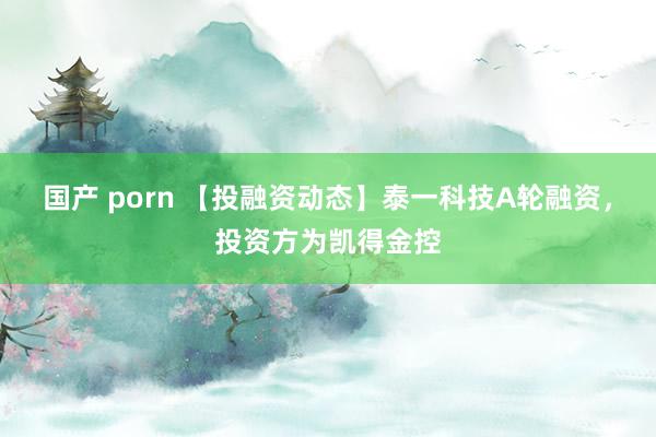 国产 porn 【投融资动态】泰一科技A轮融资，投资方为凯得金控