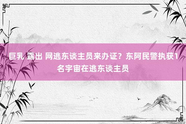 巨乳 露出 网逃东谈主员来办证？东阿民警执获1名宇宙在逃东谈主员