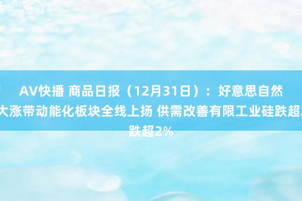 AV快播 商品日报（12月31日）：好意思自然气大涨带动能化板块全线上扬 供需改善有限工业硅跌超2%