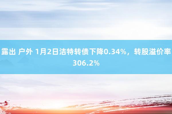 露出 户外 1月2日洁特转债下降0.34%，转股溢价率306.2%