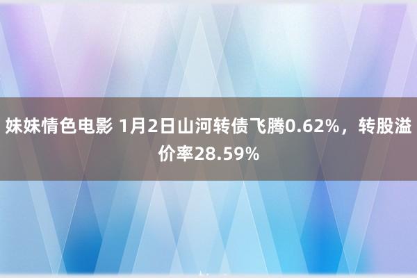 妹妹情色电影 1月2日山河转债飞腾0.62%，转股溢价率28.59%