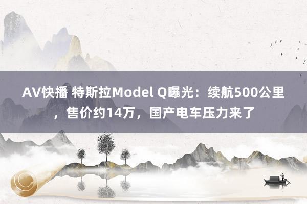 AV快播 特斯拉Model Q曝光：续航500公里，售价约14万，国产电车压力来了