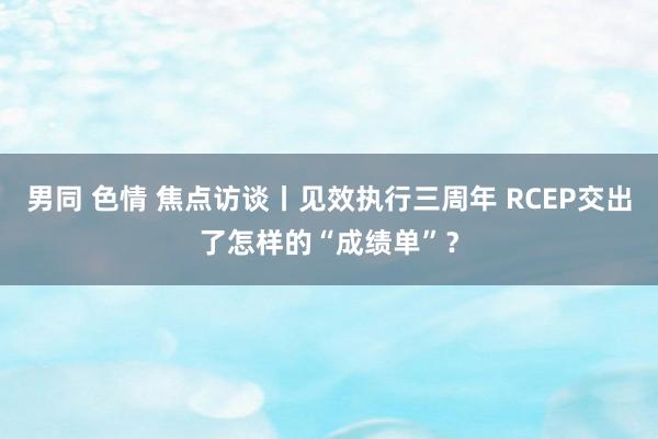 男同 色情 焦点访谈丨见效执行三周年 RCEP交出了怎样的“成绩单”？