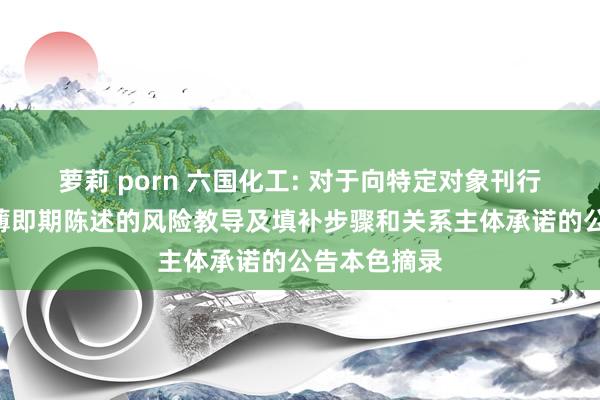 萝莉 porn 六国化工: 对于向特定对象刊行A股股票摊薄即期陈述的风险教导及填补步骤和关系主体承诺的公告本色摘录