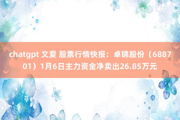 chatgpt 文爱 股票行情快报：卓锦股份（688701）1月6日主力资金净卖出26.85万元