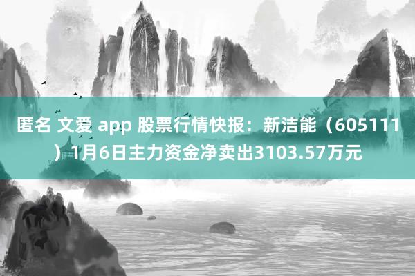 匿名 文爱 app 股票行情快报：新洁能（605111）1月6日主力资金净卖出3103.57万元