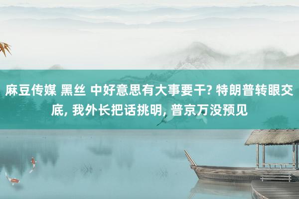 麻豆传媒 黑丝 中好意思有大事要干? 特朗普转眼交底， 我外长把话挑明， 普京万没预见