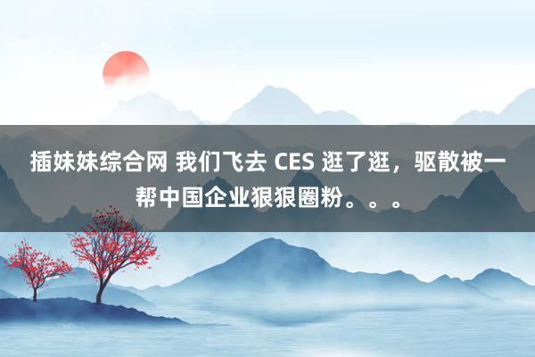 插妹妹综合网 我们飞去 CES 逛了逛，驱散被一帮中国企业狠狠圈粉。。。