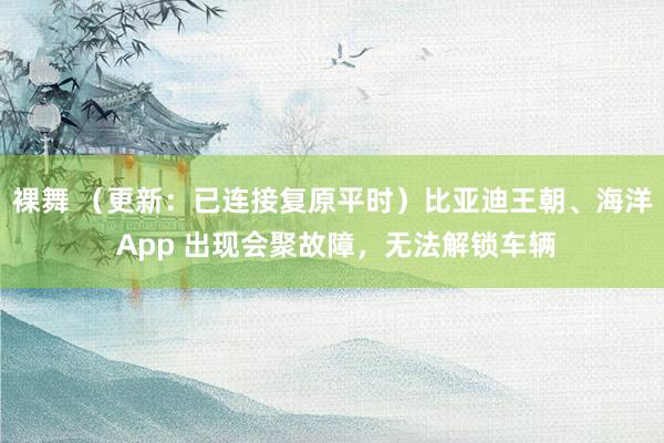 裸舞 （更新：已连接复原平时）比亚迪王朝、海洋 App 出现会聚故障，无法解锁车辆