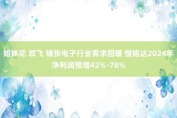 姐妹花 双飞 铺张电子行业需求回暖 恒铭达2024年净利润预增42%-78%