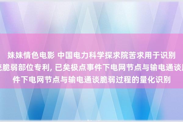 妹妹情色电影 中国电力科学探求院苦求用于识别极点事件下电力系统脆弱部位专利， 已矣极点事件下电网节点与输电通谈脆弱过程的量化识别