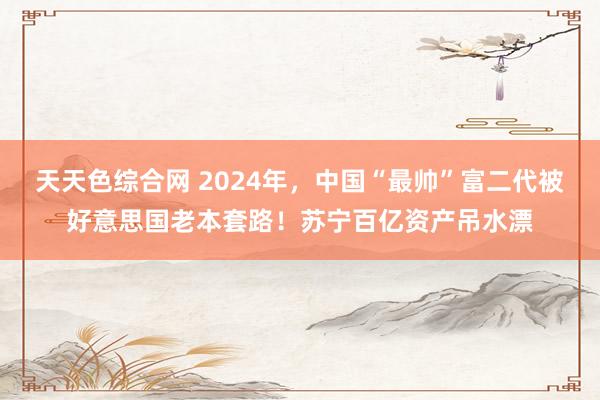 天天色综合网 2024年，中国“最帅”富二代被好意思国老本套路！苏宁百亿资产吊水漂